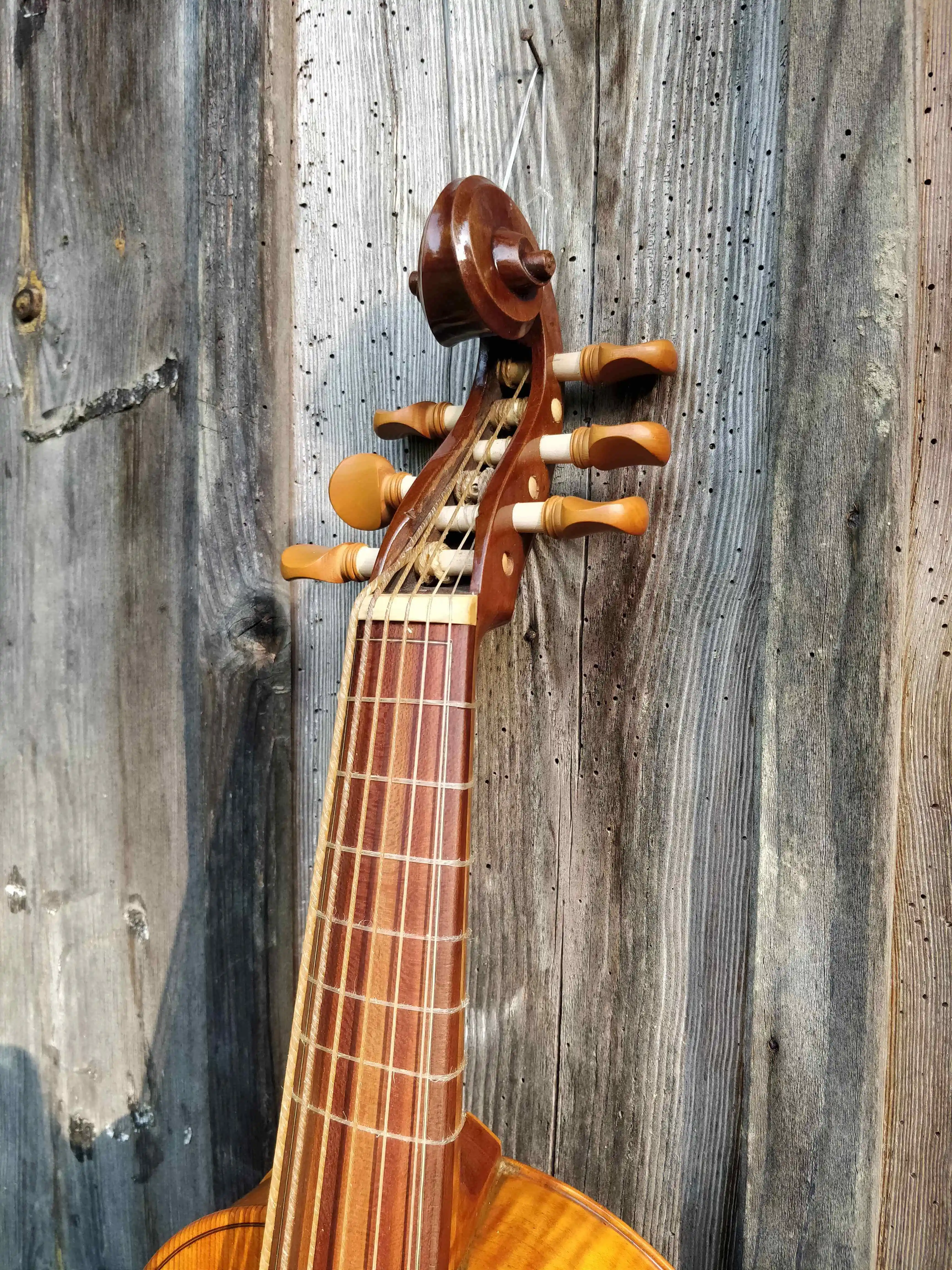 Details of a Viola da Gamba