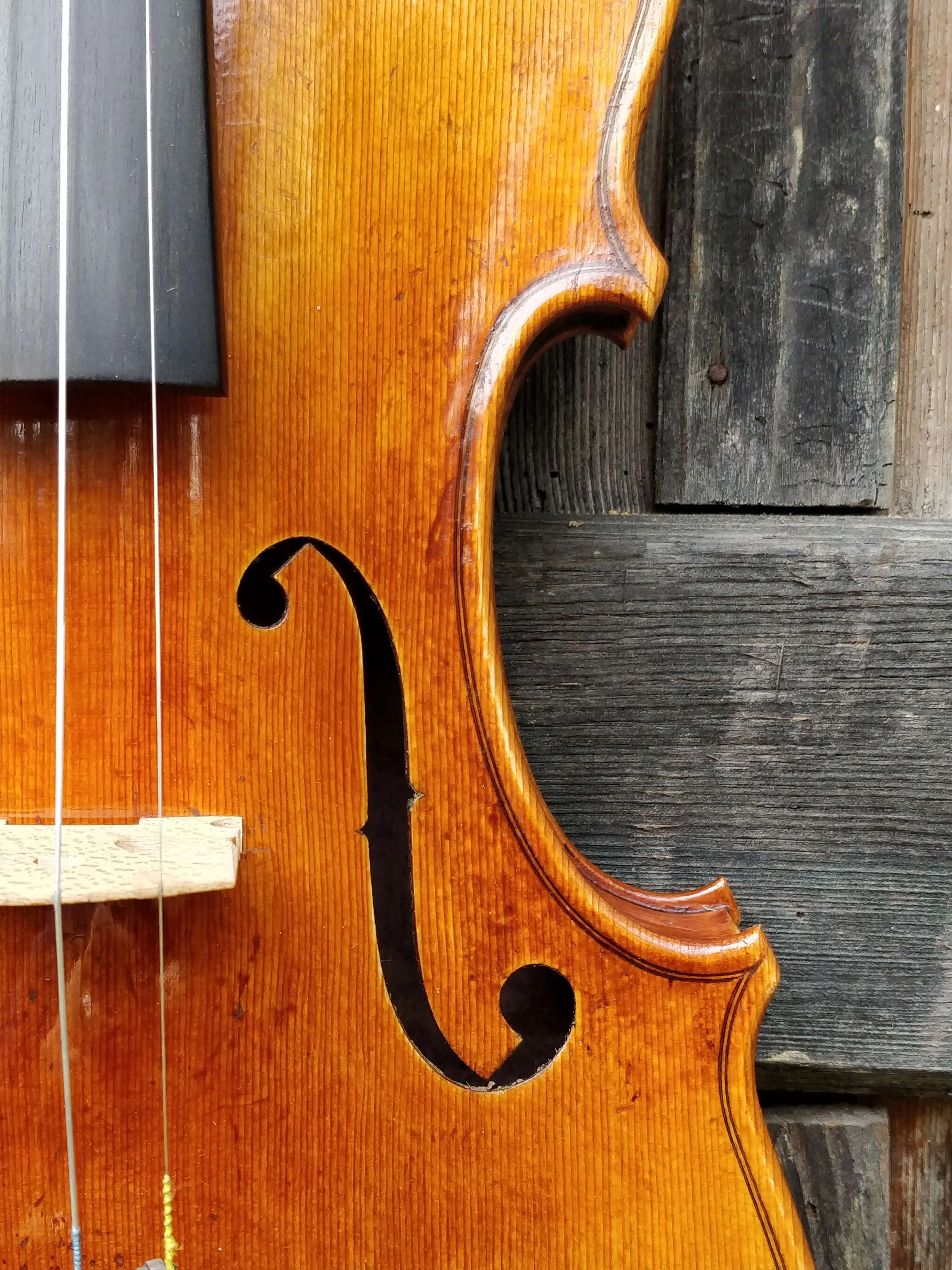 Exquisite details of the front of a Viola