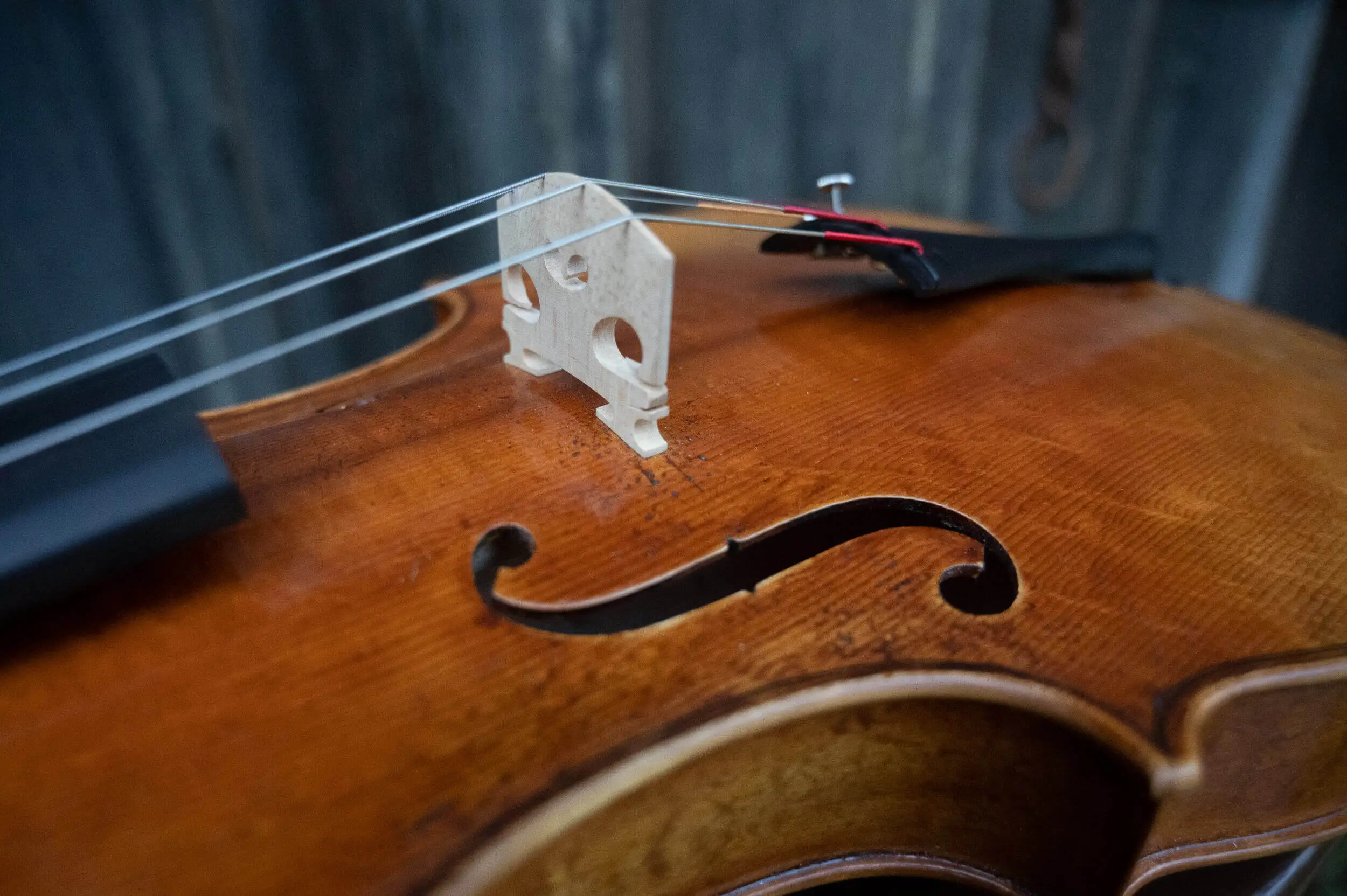 Details of a Viola
