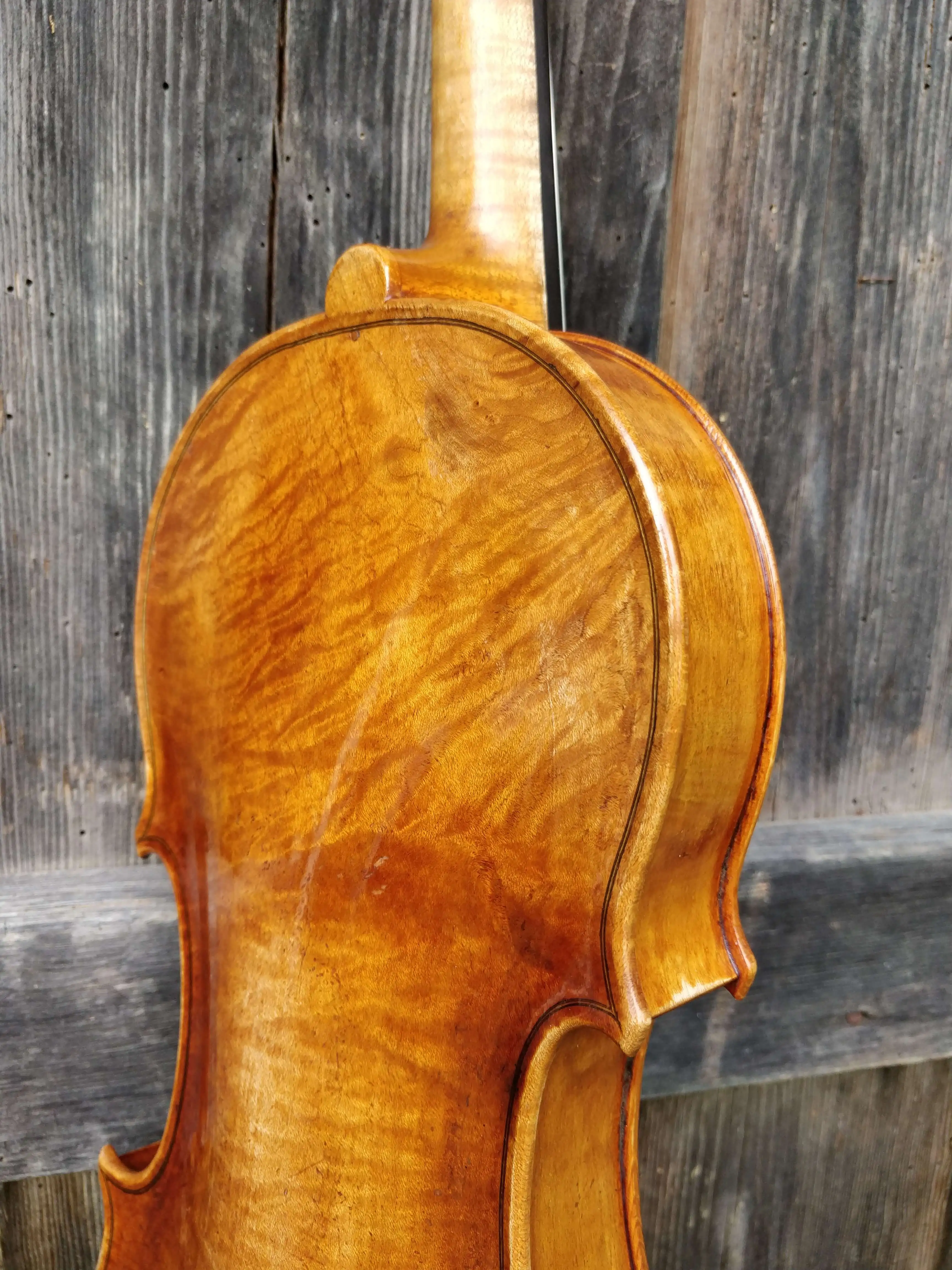 Details on the back of a Violin